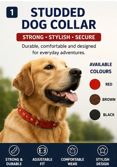 Adjustable Dog Collar