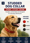 Adjustable Dog Collar