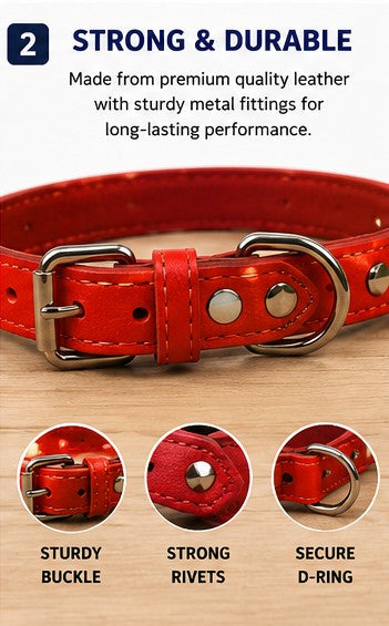 Adjustable Dog Collar