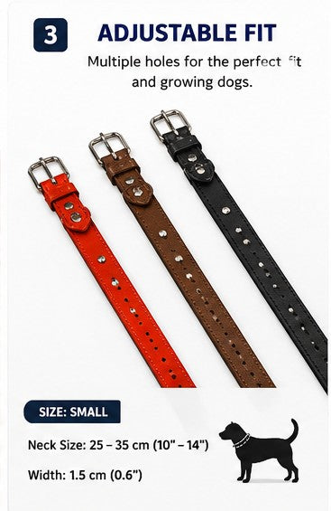 Adjustable Dog Collar