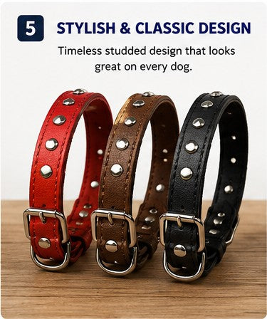 Adjustable Dog Collar