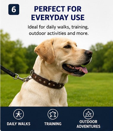 Adjustable Dog Collar