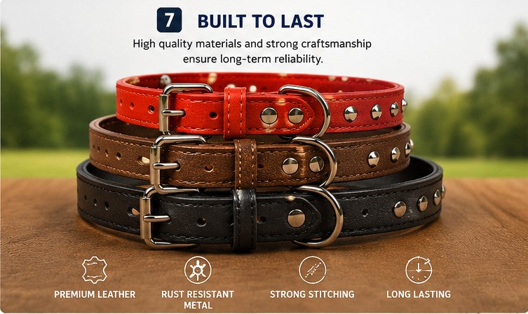 Adjustable Dog Collar