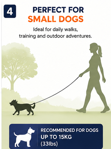 Retractable Dog Lead