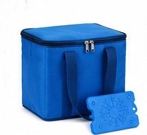 Insulated Cool Bag, 20L, with 800g Ice Pack