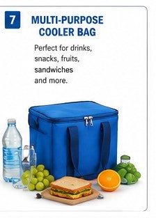Insulated Cool Bag, 20L, with 800g Ice Pack